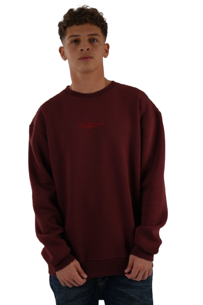 DSC00739-removebg-preview Unisex Burgandy Crew Neck