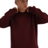 DSC00745-removebg-preview Unisex Burgandy Crew Neck