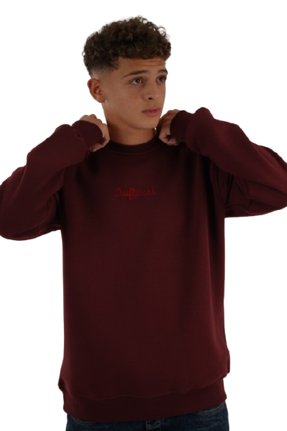 DSC00745-removebg-preview Unisex Burgandy Crew Neck