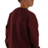 DSC00759-removebg-preview Unisex Burgandy Crew Neck