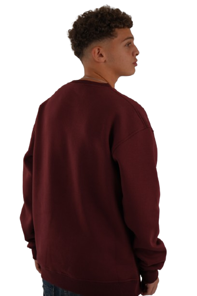 DSC00759-removebg-preview Unisex Burgandy Crew Neck